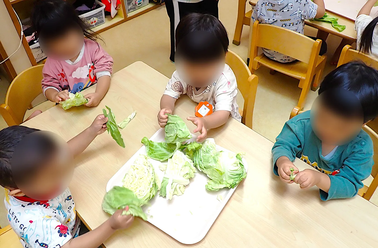ひだまりバイキング春～キャベツちぎり～