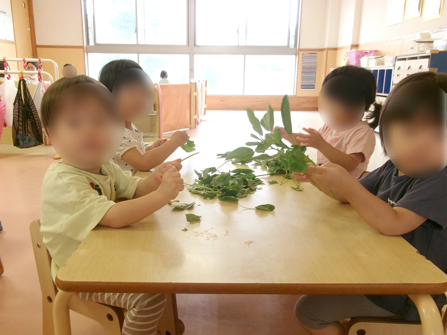 食育モロヘイヤの葉っぱちぎり（2歳児）